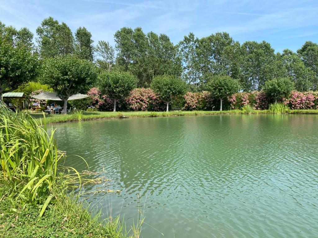 Domaine Du Lac De La Vallee Villa La Roquette-sur-Siagne Exterior photo