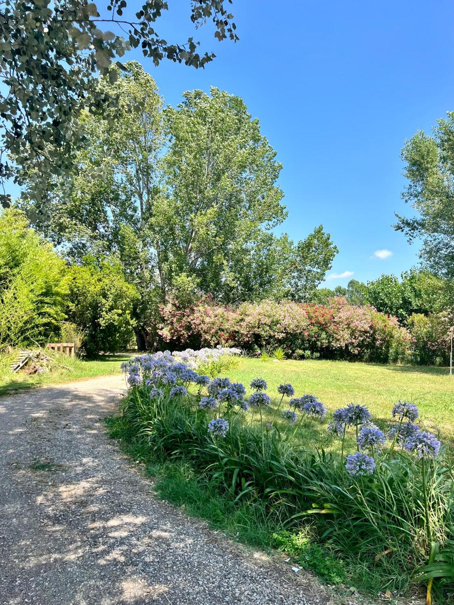 Domaine Du Lac De La Vallee Villa La Roquette-sur-Siagne Exterior photo